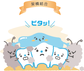 歯垢が落ちるしくみ
