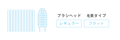 フラットレギュラー