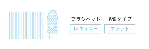 フラットレギュラー