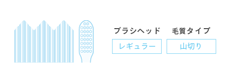 山切りレギュラー
